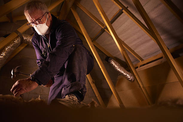 Best Insulation Materials and Products in Erwin, TN